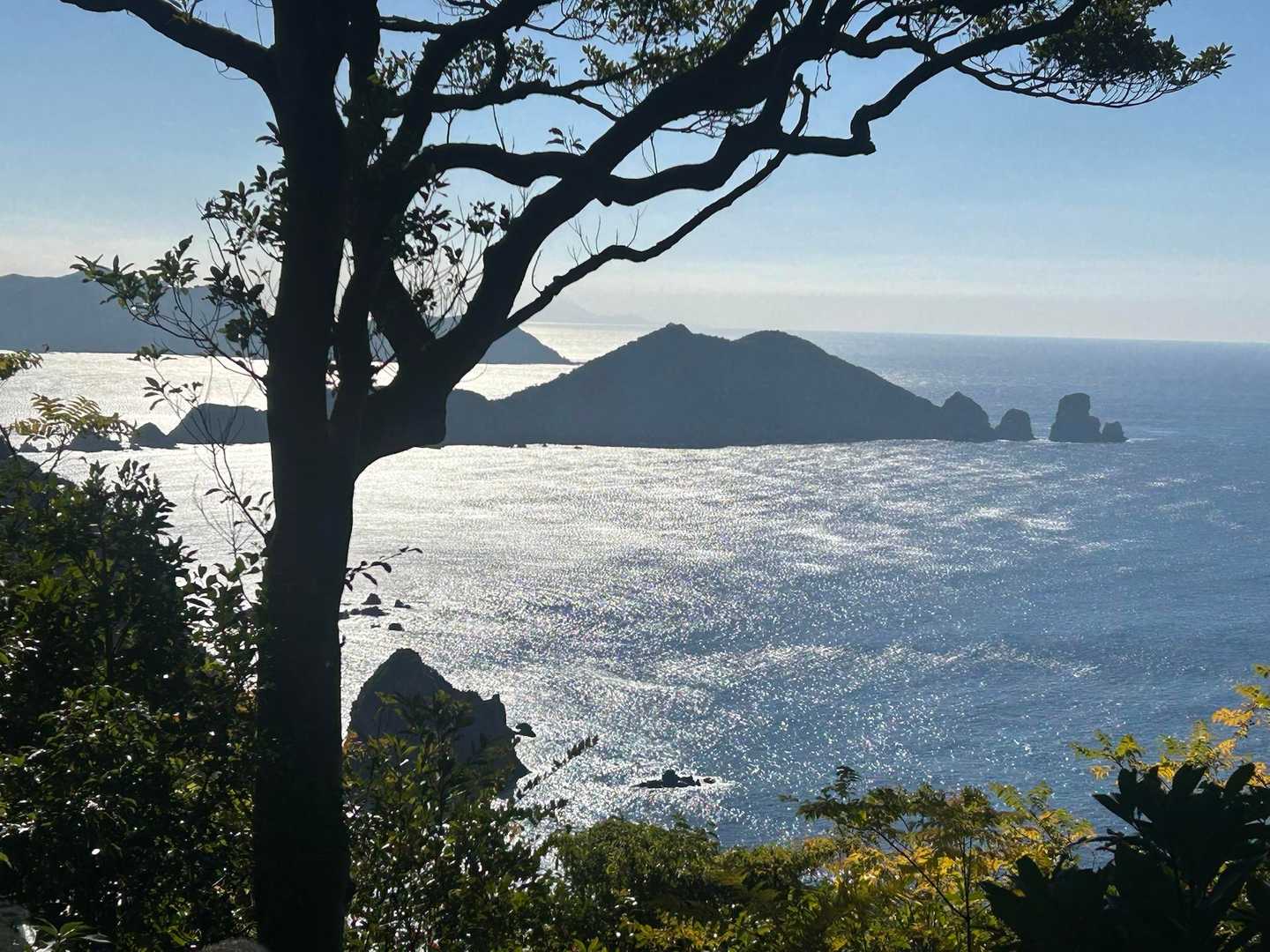 野間岳 往復コースの写真