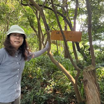 佐尾形山頂上