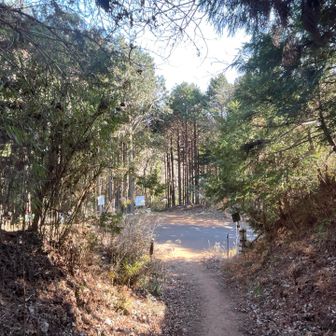 舗装路と交差しました。