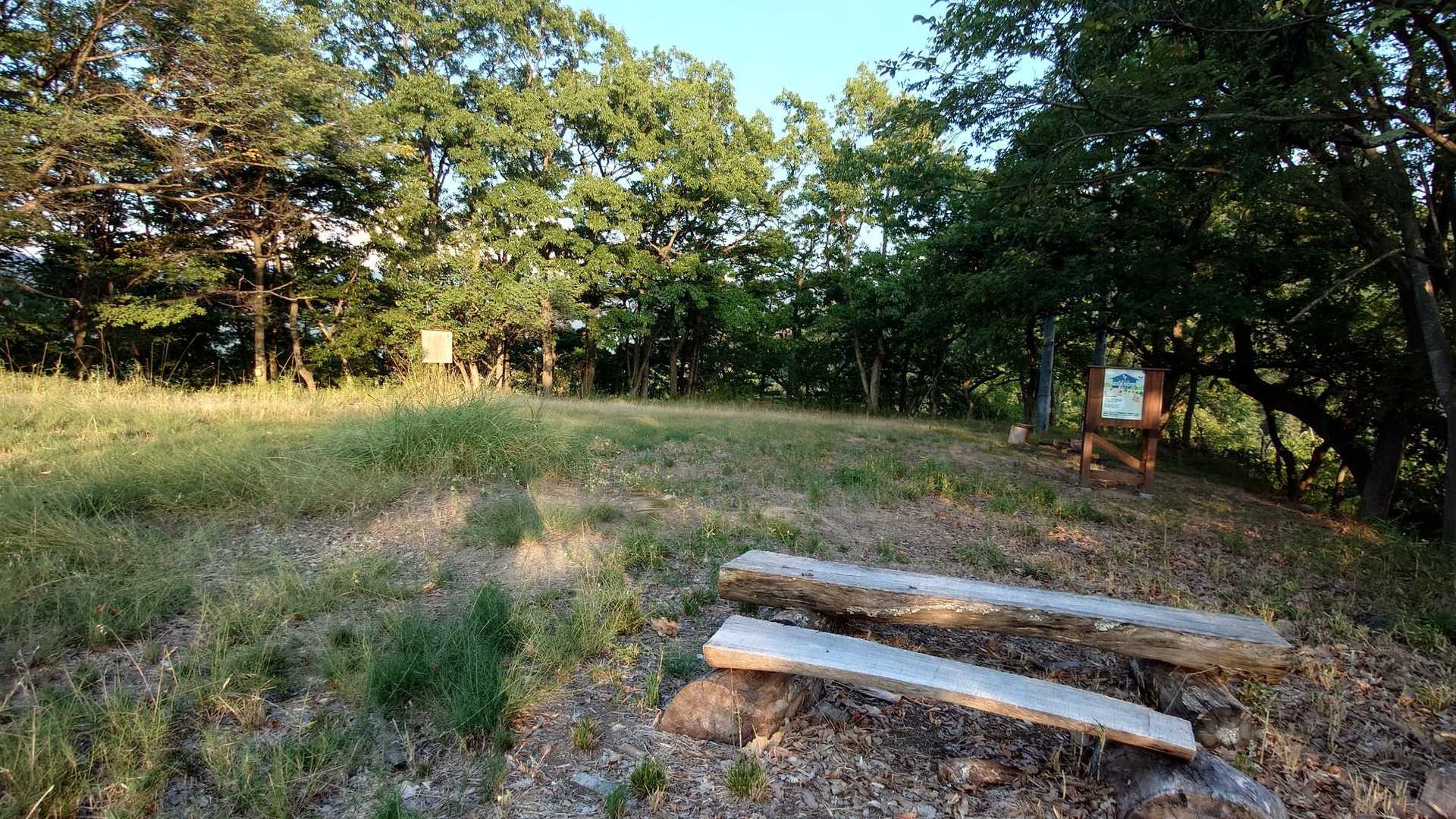 広々した所に着きました。

ここが「一重山山頂🚩」です。