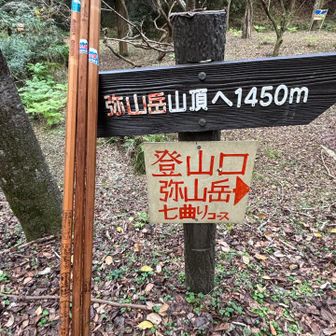 杖も沢山用意されてます
中には富士登山記念の立派なものもありました