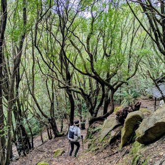それでは鷺港へ向かって下山しにゃ〜す
