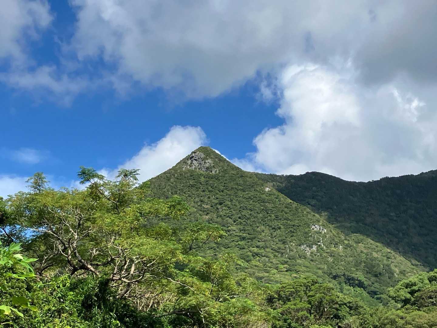 三角山 往復コースの写真