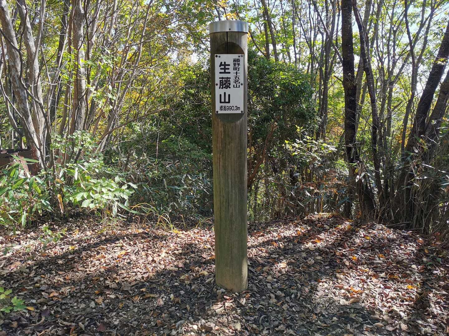 生藤山の写真