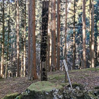 途中、武田信玄の腰掛け岩。
1572年、甲斐国を立った武田勢は秋葉街道を経由して遠州に入り、徳川勢を撃破しました。三方ヶ原の戦いです。
