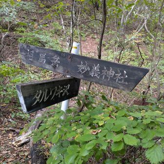 中間道から分岐をタルワキ沢に進みます