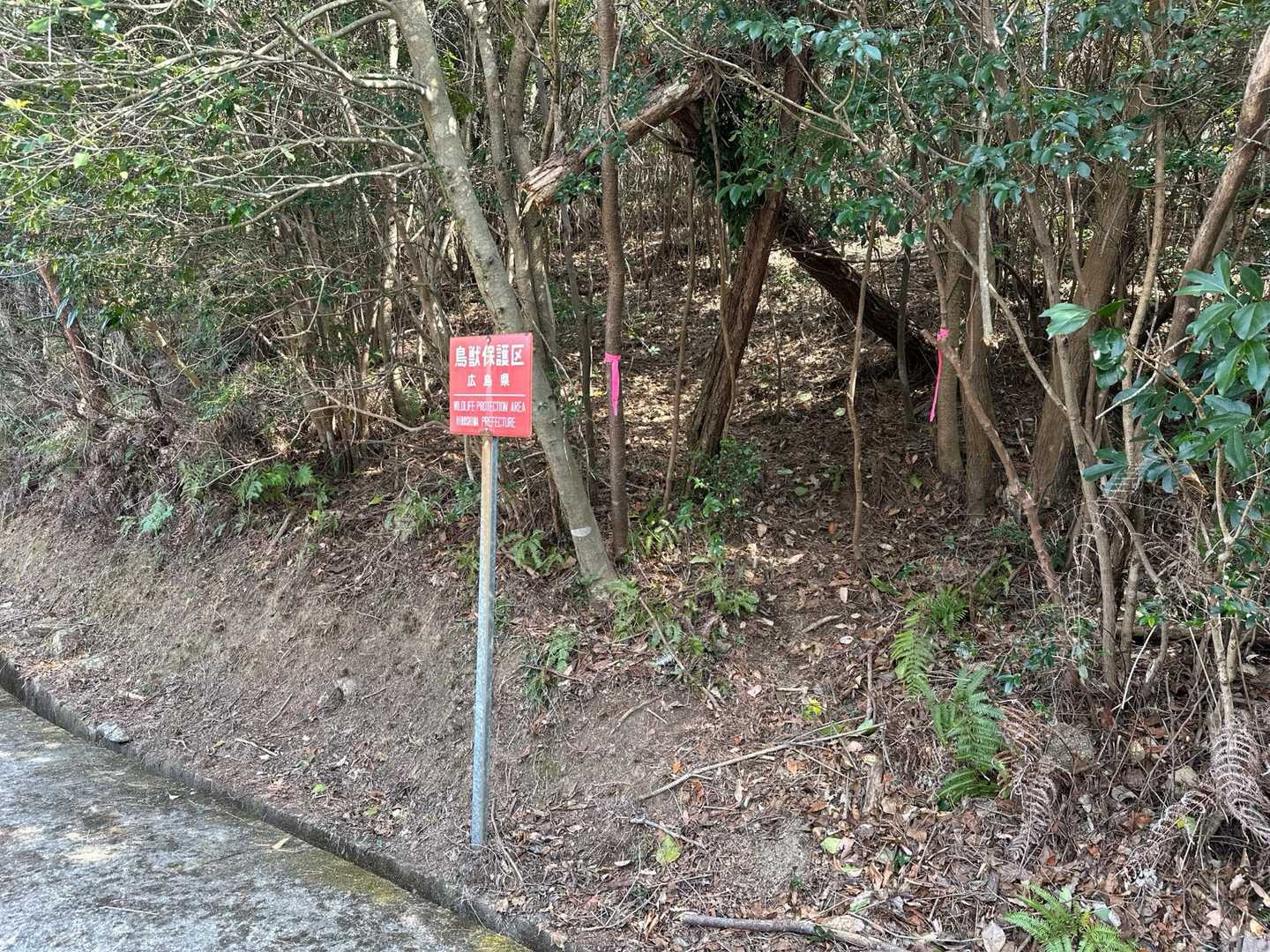 ここのピンテ🎀は登ってるから行かないとのことです👨🏻