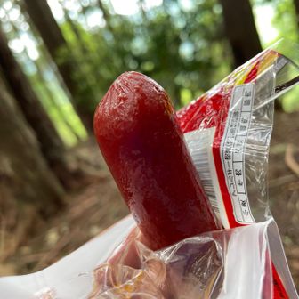 行動食のベストサイズを手に取って‥頬ばる