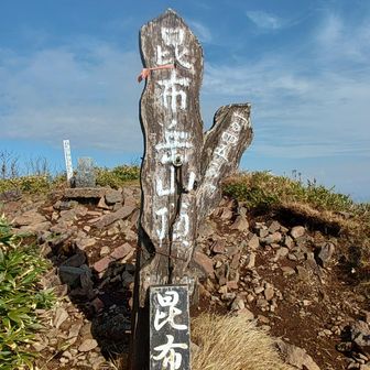 ヤッホー❗