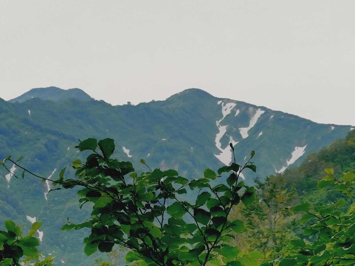 正面の山が僧ヶ岳らしい🤩