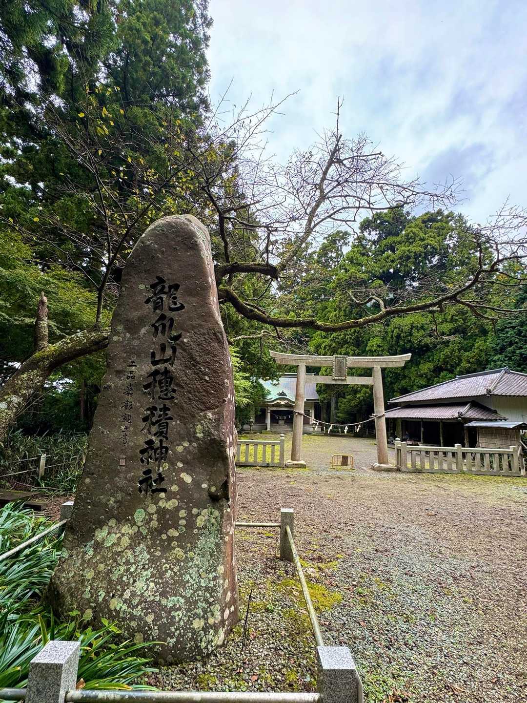 また年末に報告に来ます🙏