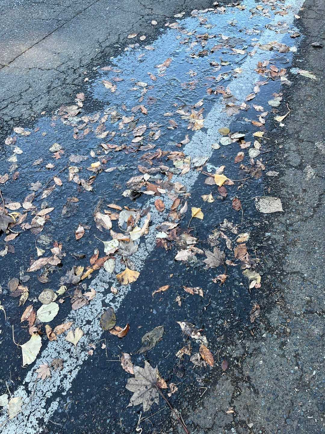 日陰は水たまりが凍ってる…🥶