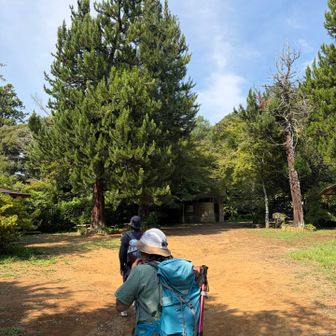 お？なんだか平場に出たぞ👀