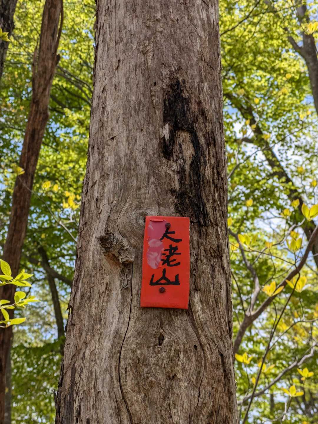 ここが一番高いのね!