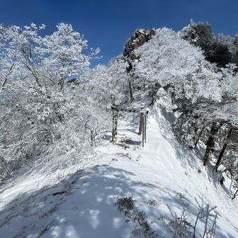 新雪で怖すぎたレンゲ坂谷と静かだった山上ヶ岳 / takuro.nの登山