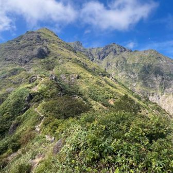 もう間も無く樹林帯へ入るので、見納めに振り返ると、ネコミミ山は完全に晴れていた…チックショー😭😭