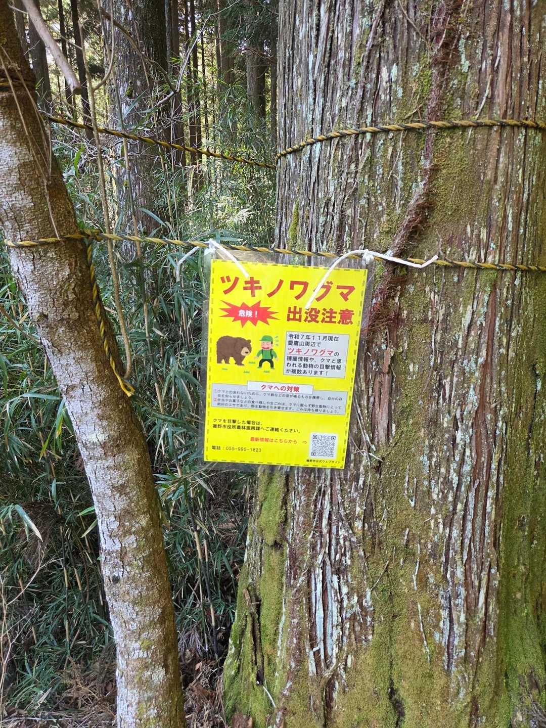 ここにも熊が…😓