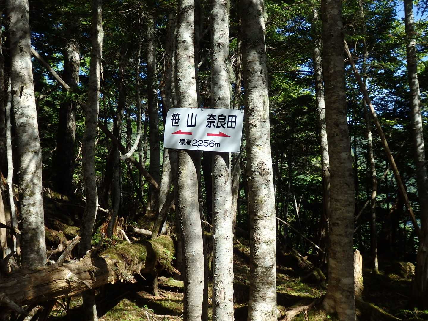 2256ピーク。三分の二位まで来た
この辺りから、もうバテバテ・・・ペースも上がらず2人に迷惑を掛けてしまった
( ；∀；)