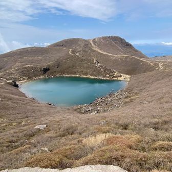 少しやわらかくなった☺️
春の色ですね🤲🏻