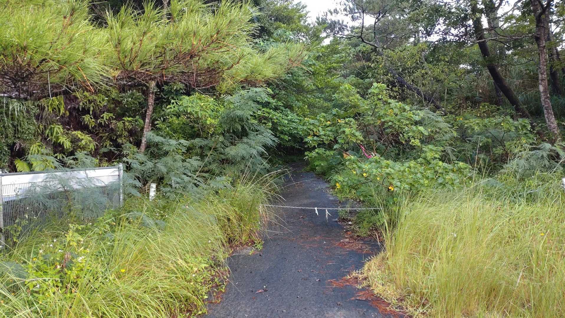 ダム手前に登山口
看板などは見当たりません
活動日記を上げてくれている方に感謝