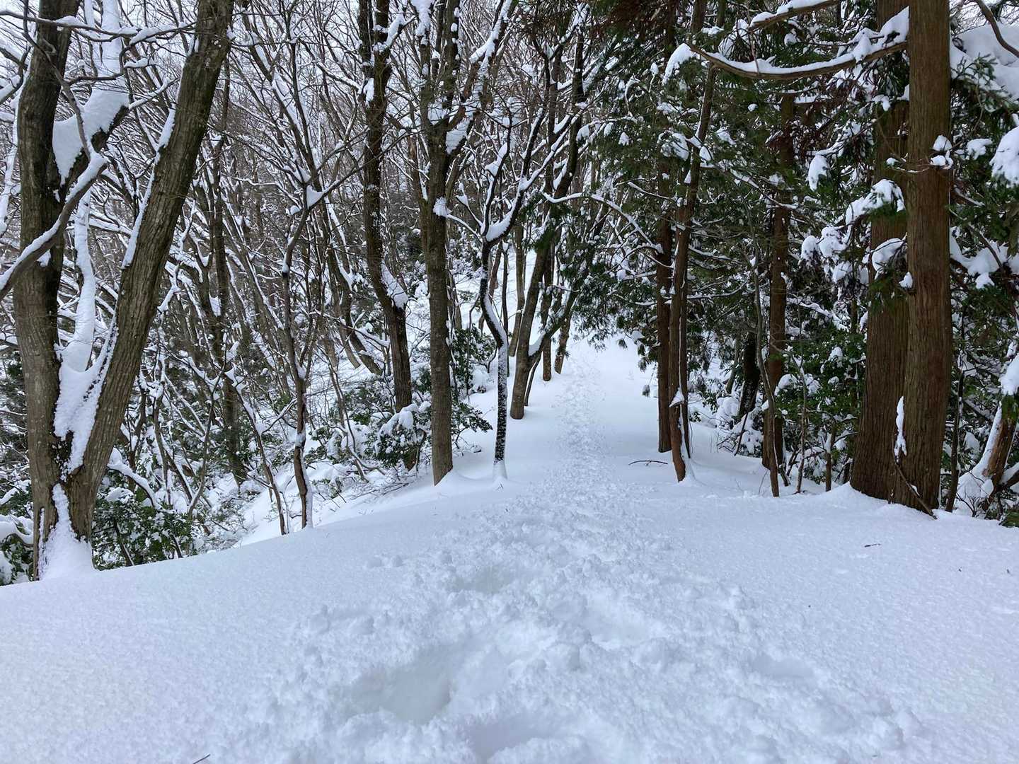 新雪の中自分だけの踏み跡