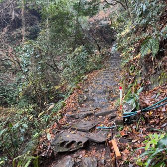 下りはちょっとヒヤッとしましたが、登りは気になりませんでした☺️
