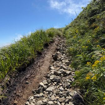 山越中の花が綺麗なゾーン