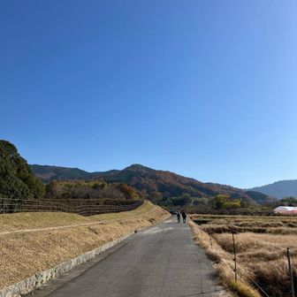 たまご