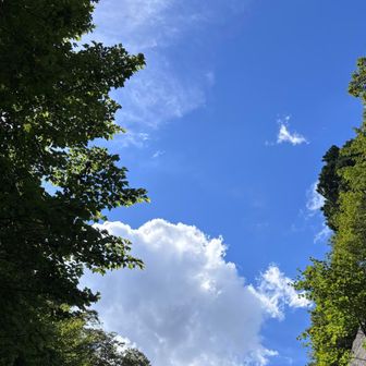 下山後に晴れるの、あるある☀️
