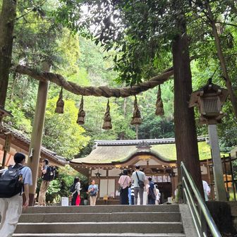 階段を上がって本殿に向かいます