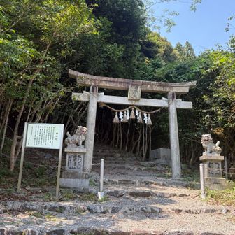 帰ってきた

今日は北尾根〜二本松尾根コースのピストンになってしまった