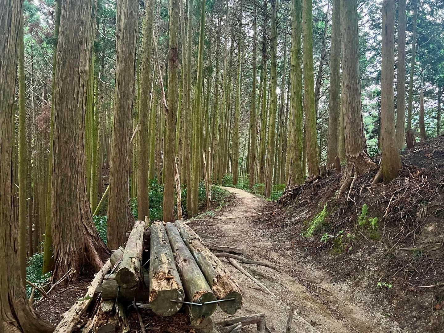 金剛山山頂売店-金剛山 周回コースの写真