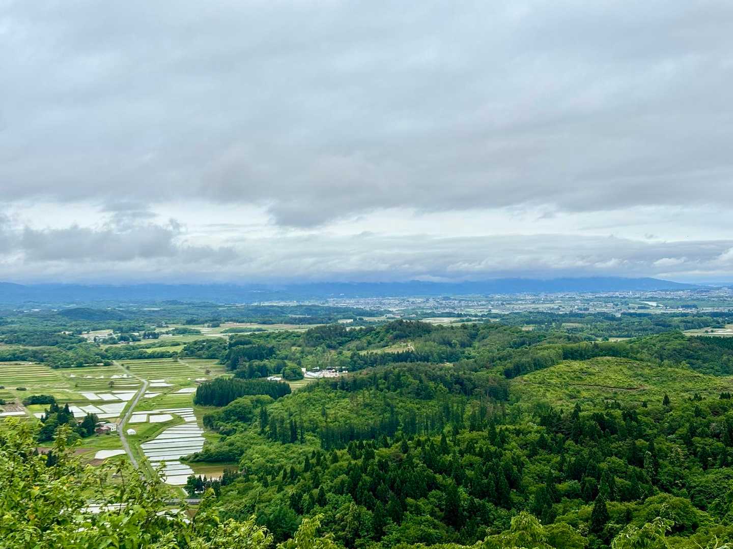 朝までザーザーぶりの雨だったのに✨