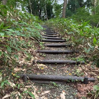 ちょぺっと登山道みたいなー