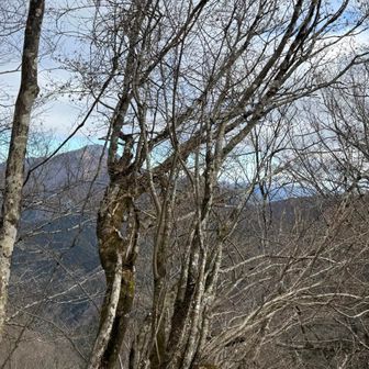 あそこまで行くの？遠い…