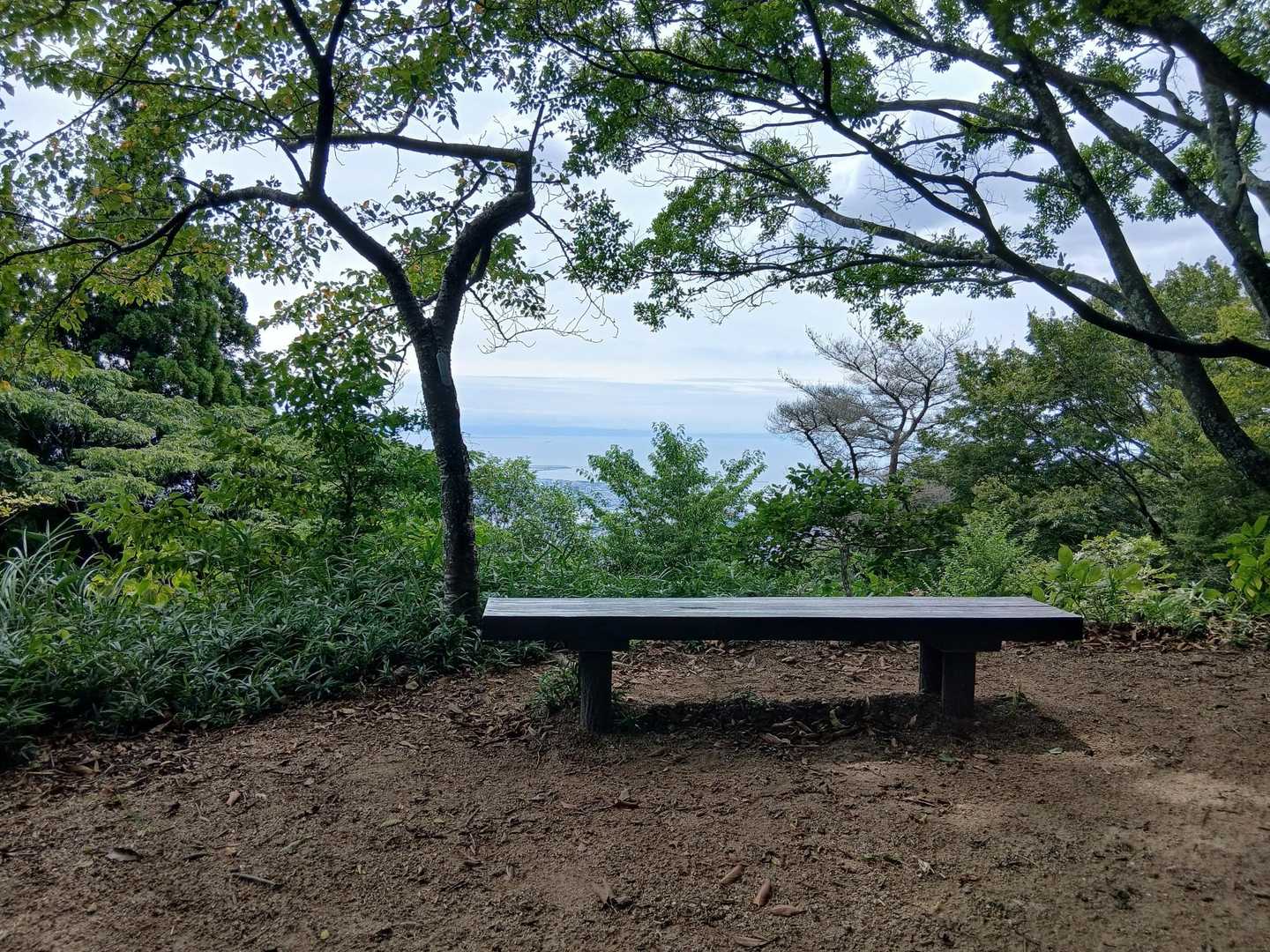 ここもベンチがたくさんあって
眺望良し