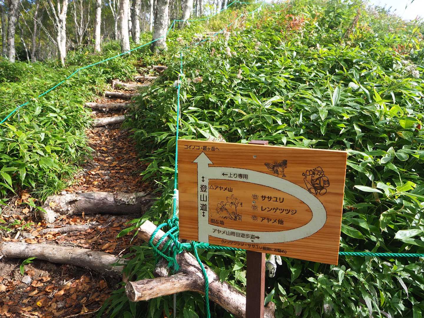 アヤメ山周回遊歩道入口に新しい看板が設置されてました😁
原さんありがとうございます🙇