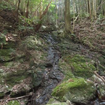 いや、こっちかな？水枯れ

・・・後で調べると どっちでもなかった😆