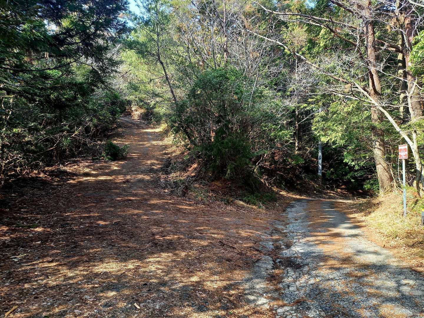 帰り道
ほんとは左側に行くと中津峰のフライトパークのようなとこあるみたいだけど...しんどいのでスルーです😅