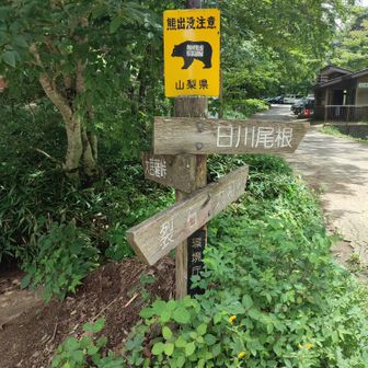 おつかれ山でした😊