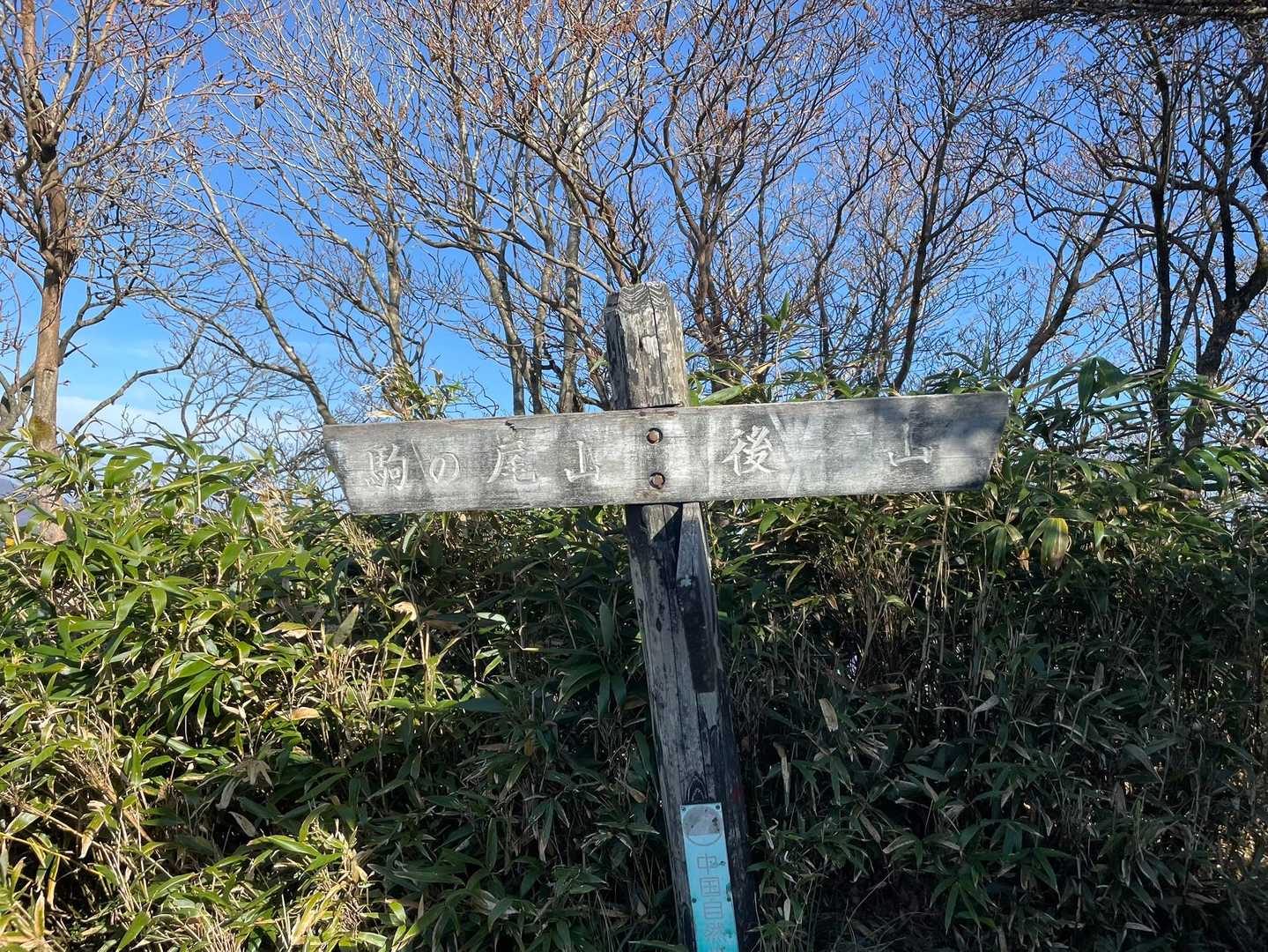 やっと分岐に