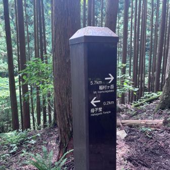 涼しいけど蒸し暑いよ😱