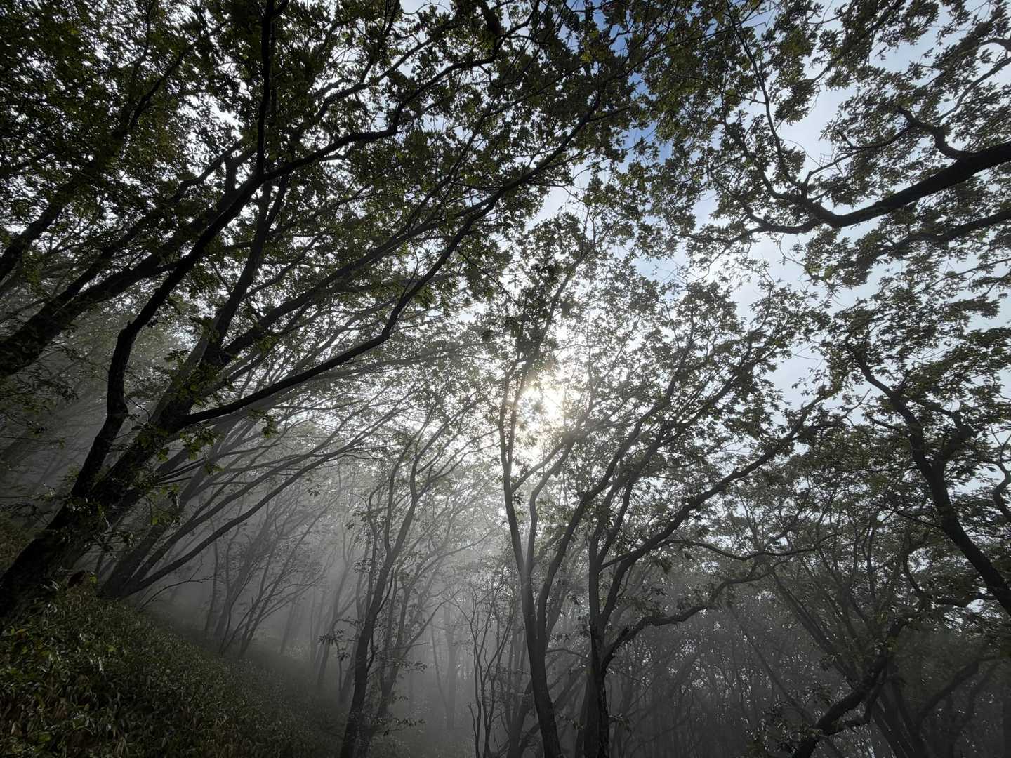 下山途中、少し晴れ間が…
