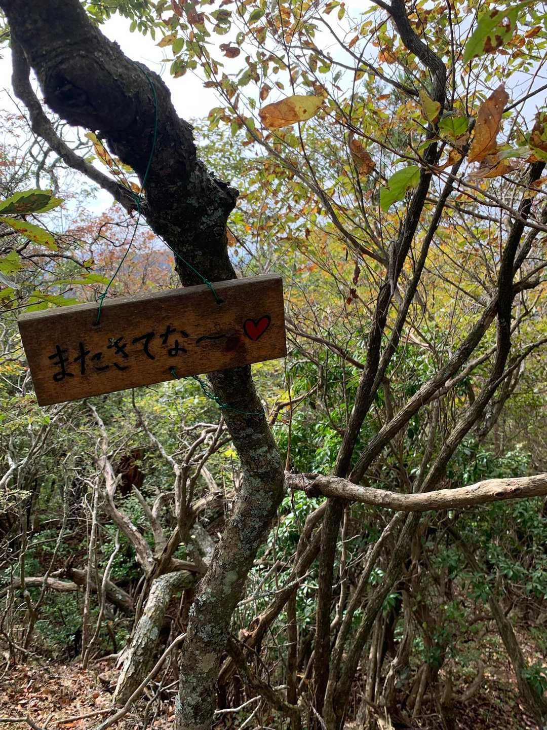 三尾山 往復コースの写真