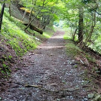 下山します🐾🐾🐾