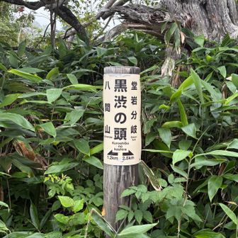 黒渋ノ頭
登り返し終えて一段落．アブたちと休憩．