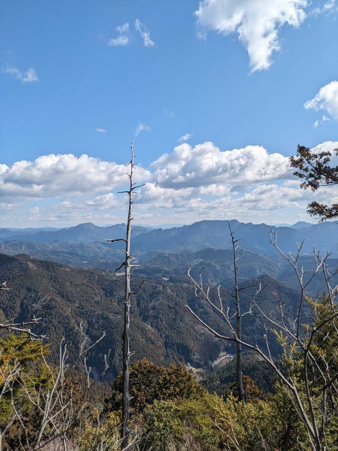 竜頭山 往復コースの写真