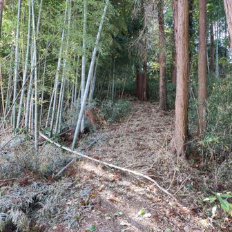 善正山を後にし、甘沼山を目指します。

左側は竹林になっていて、その先にはゴルフ場が見えました。