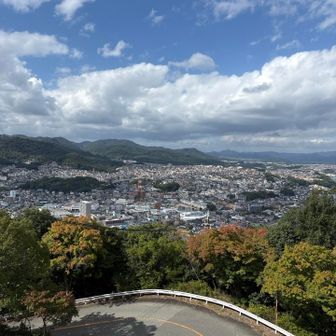 良いお天気で気持ちが良いです♪