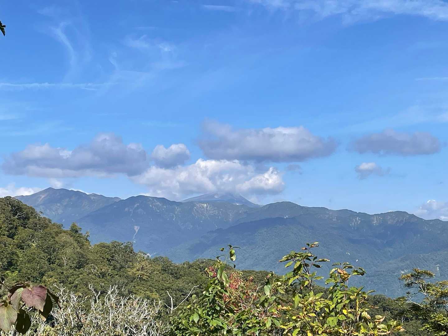大日ヶ岳 往復コースの写真